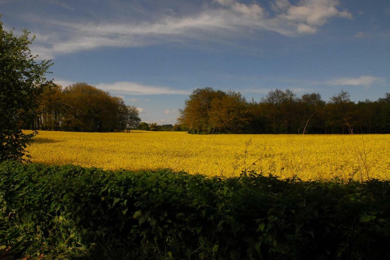 Sindles Farm Bed & Breakfast Emsworth Luaran gambar